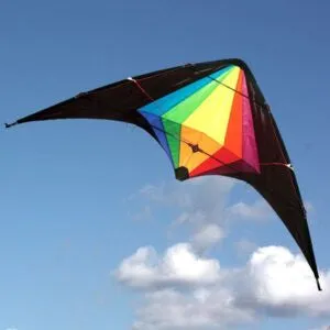 Black Widow 1.5m Dual Control Stunt Kite