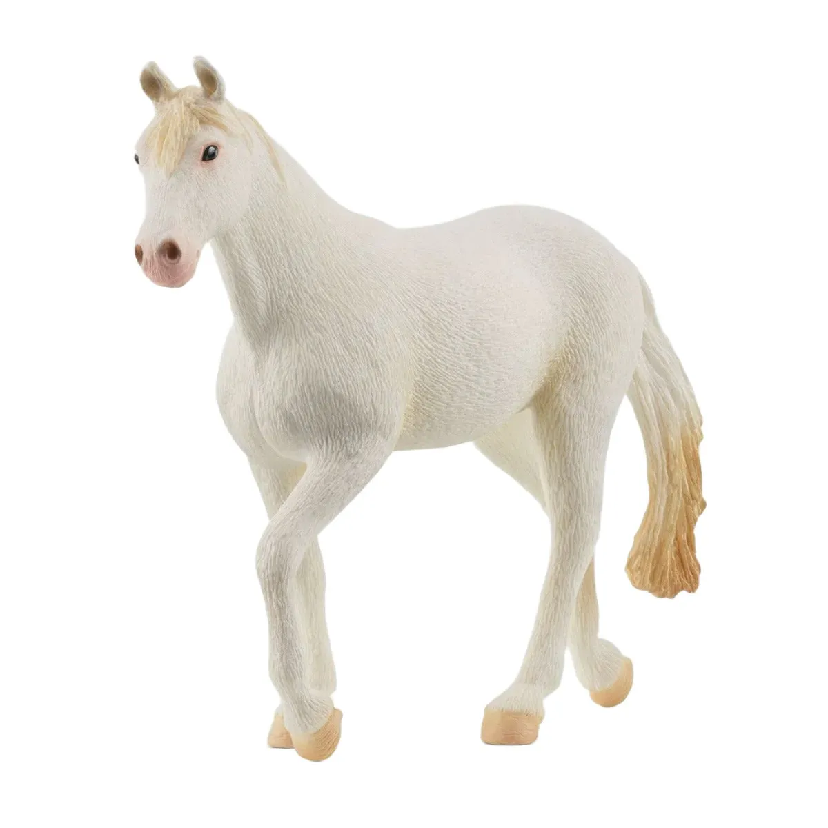Camarillo Mare