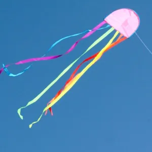 Jellyfish Kite