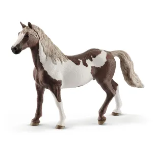 Paint Horse Gelding